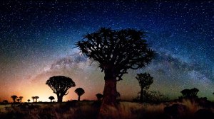 551438_483747958353925_1821471168_n