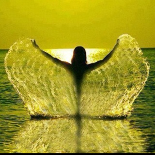 bb90510f6f013853dda4c3caffc72cf8