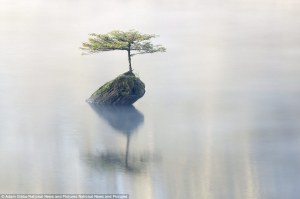 British Columbia in Canada