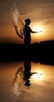 77012318f19799d2808de1b21b3196bd