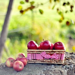 apple basket