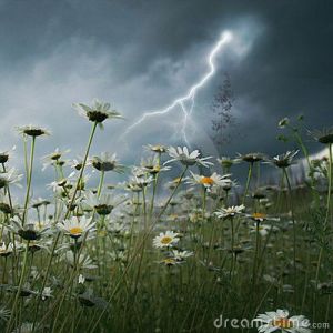 Lightning strike over field by Elenamiv