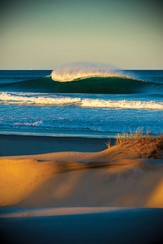 Wave - Trent Mitchell