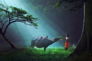 Children Playing Around The World