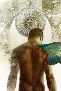 divine creation
