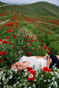 Iʈ'ʂ Ꮧ ᎶᎧᎧɖ Ɗαƴ