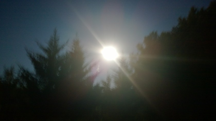 WP_20140908_20_54_10_Pro