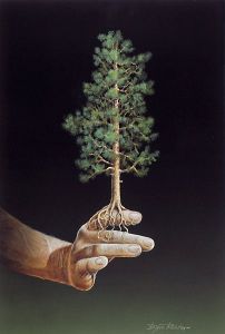 Bjorn Richter - Love and Security