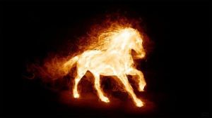 fire horse