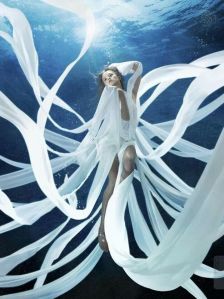 Blueman underwater photography