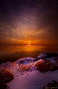 Gold and violet sunrise on the horizon, Wisconsin by Phil-Koch