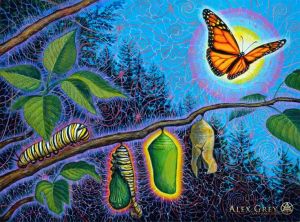 Metamorphosis - Alex Grey