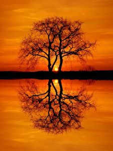 Sunrise Sisters by Martin Wait