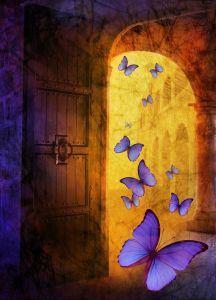 Butterflies are free to fly by Juliana Kolesova