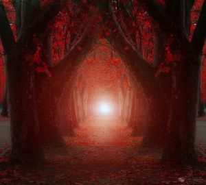 Beautifully Enchanting Pathways in Nature by Ildiko Neer