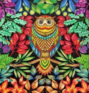 Secret Garden coloring book