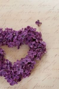 Heart shaped wreath of petals of Syringa vulgaris in spring