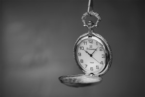 Featured Image -- 24233