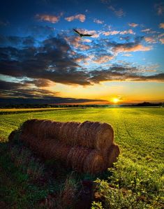 hay-bales-the-sky-at-dusk