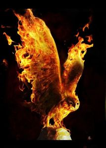 fire-owl