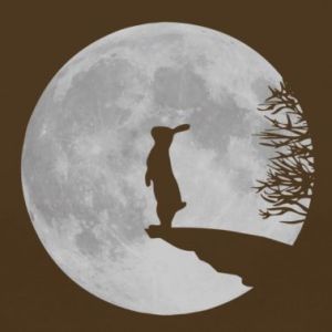 hare-in-the-moon