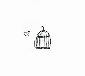 birdcage