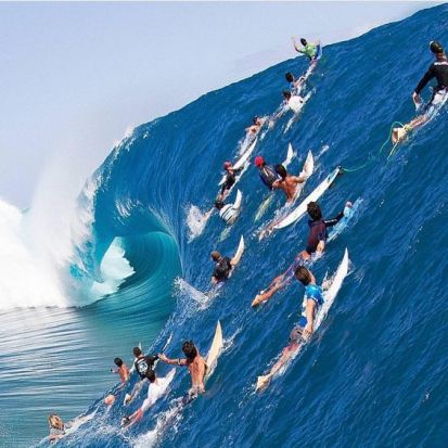 surfing crowds