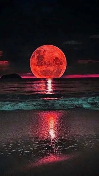 Blood Moon
