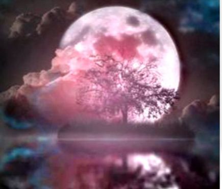 Full Moon - pink fantasy unknown artist