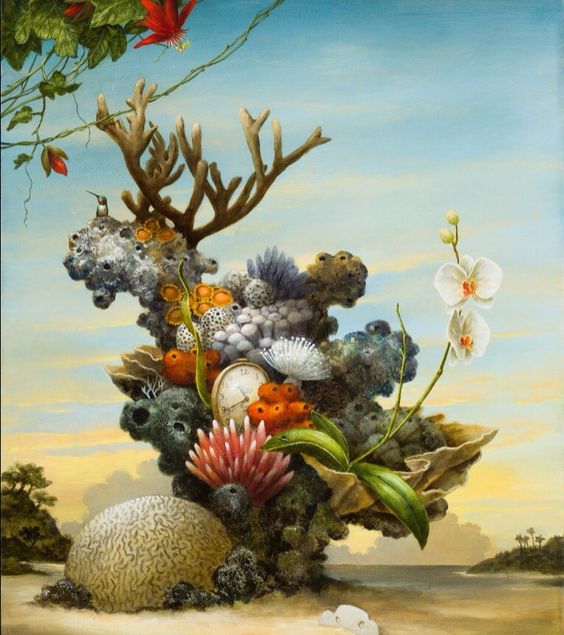 Kevin Sloan - corals