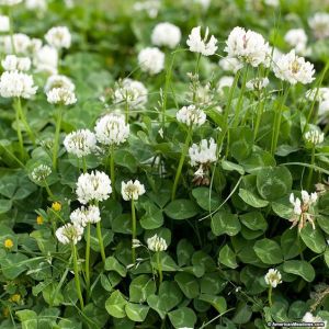 2521002026162728a30d5b09fa19d681