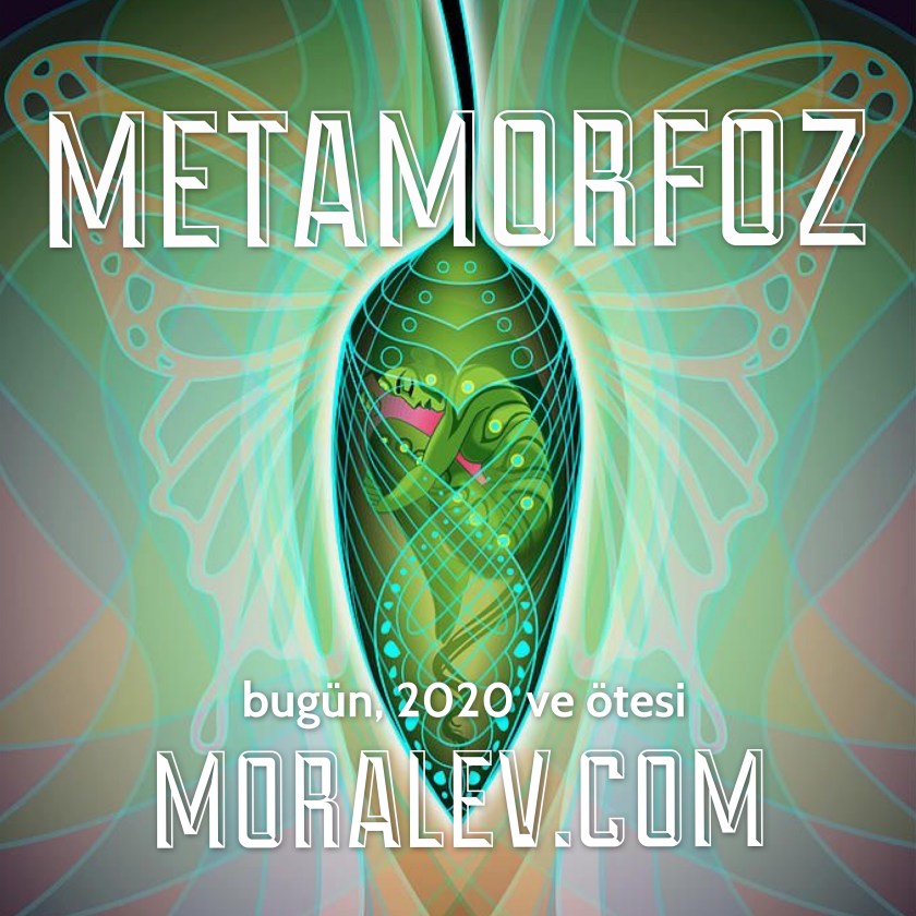 C1B00A6F-0AD6-4FC7-AB7F-3C60F3F70231