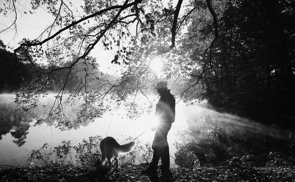 C44C3766-1445-47CF-BA5C-DFE487883D4B