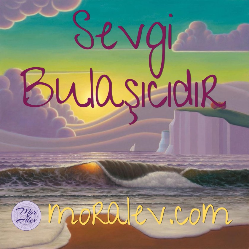 C697B8CF-2A01-4581-8C96-AA84301A9AF4